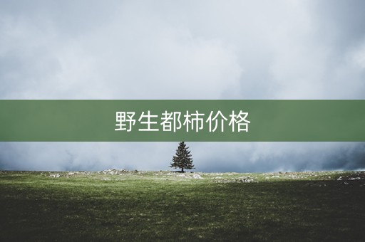 野生都柿价格