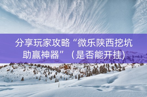 分享玩家攻略“微乐陕西挖坑助赢神器”（是否能开挂)
