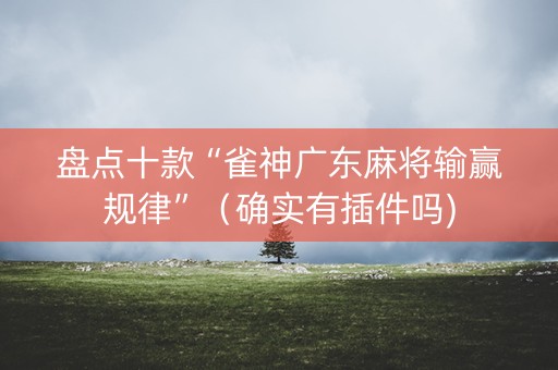 盘点十款“雀神广东麻将输赢规律”（确实有插件吗)