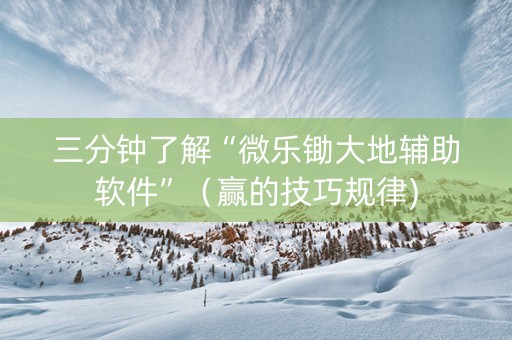 三分钟了解“微乐锄大地辅助软件”（赢的技巧规律)