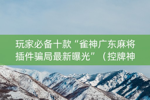 玩家必备十款“雀神广东麻将插件骗局最新曝光”（控牌神器)