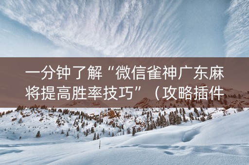 一分钟了解“微信雀神广东麻将提高胜率技巧”（攻略插件)