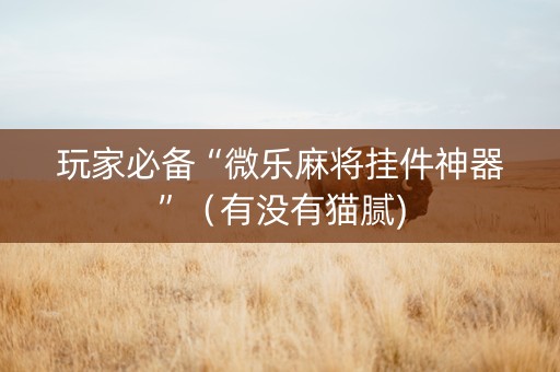 玩家必备“微乐麻将挂件神器”（有没有猫腻)