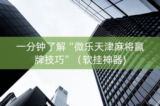 一分钟了解“微乐天津麻将赢牌技巧”（软挂神器)