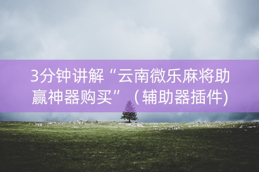 3分钟讲解“云南微乐麻将助赢神器购买”（辅助器插件)