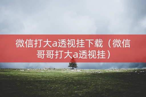 微信打大a透视挂下载（微信哥哥打大a透视挂）