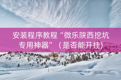 安装程序教程“微乐陕西挖坑专用神器”（是否能开挂)