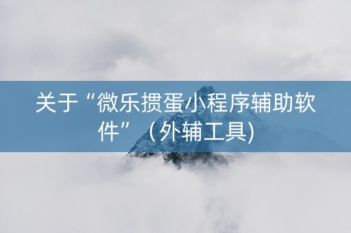 关于“微乐掼蛋小程序辅助软件”（外辅工具)
