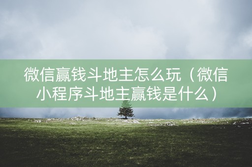 微信赢钱斗地主怎么玩（微信小程序斗地主赢钱是什么）