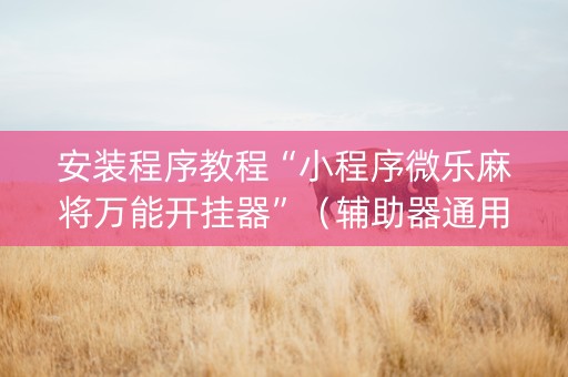 安装程序教程“小程序微乐麻将万能开挂器”（辅助器通用版)
