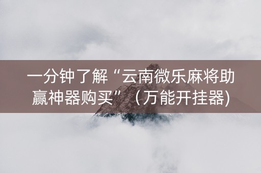 一分钟了解“云南微乐麻将助赢神器购买”（万能开挂器)