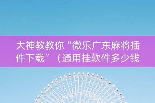 大神教教你“微乐广东麻将插件下载”（通用挂软件多少钱)