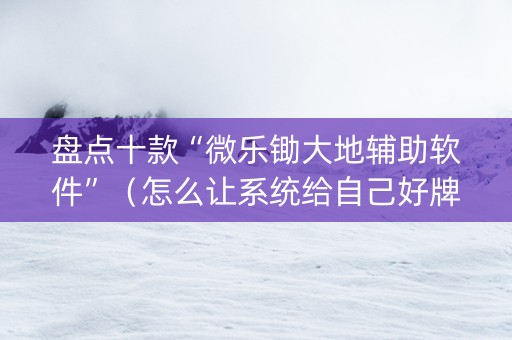 盘点十款“微乐锄大地辅助软件”（怎么让系统给自己好牌)