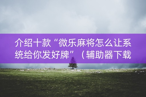 介绍十款“微乐麻将怎么让系统给你发好牌”（辅助器下载)