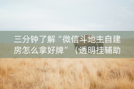 三分钟了解“微信斗地主自建房怎么拿好牌”（透明挂辅助器)