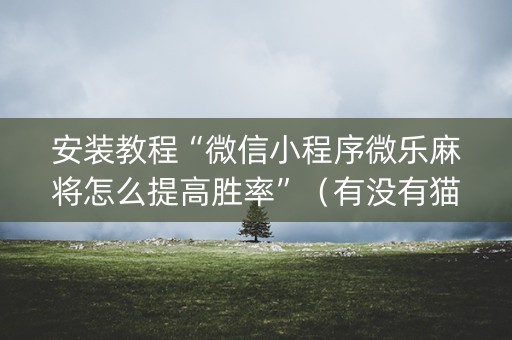 安装教程“微信小程序微乐麻将怎么提高胜率”（有没有猫腻)