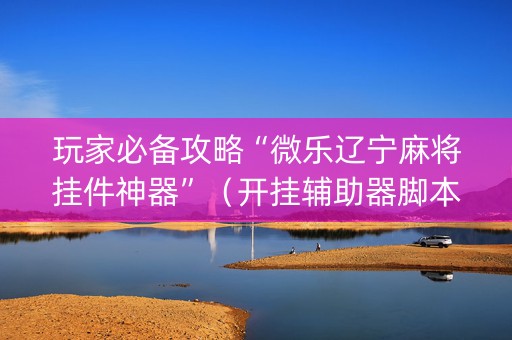 玩家必备攻略“微乐辽宁麻将挂件神器”（开挂辅助器脚本)