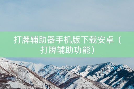打牌辅助器手机版下载安卓（打牌辅助功能）