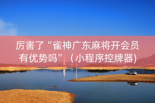 厉害了“雀神广东麻将开会员有优势吗”（小程序控牌器)