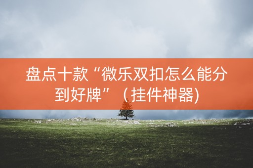 盘点十款“微乐双扣怎么能分到好牌”（挂件神器)