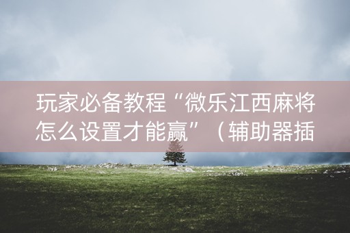 玩家必备教程“微乐江西麻将怎么设置才能赢”（辅助器插件)
