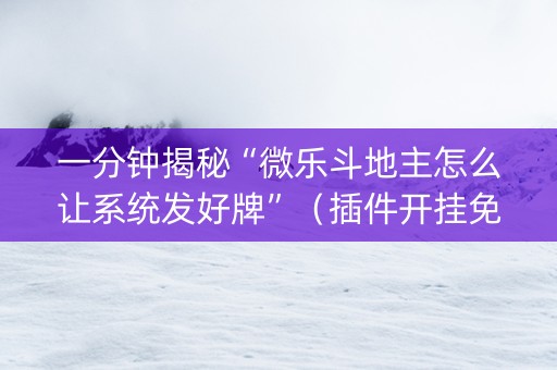一分钟揭秘“微乐斗地主怎么让系统发好牌”（插件开挂免费AI)