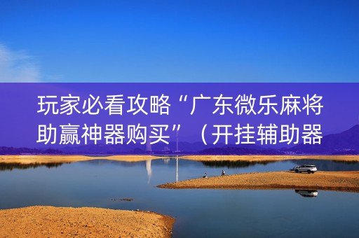 玩家必看攻略“广东微乐麻将助赢神器购买”（开挂辅助器插件)