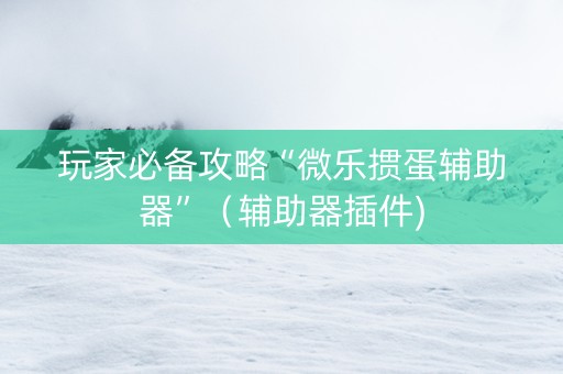 玩家必备攻略“微乐掼蛋辅助器”（辅助器插件)