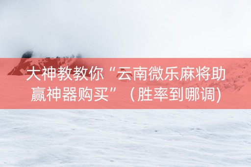 大神教教你“云南微乐麻将助赢神器购买”（胜率到哪调)
