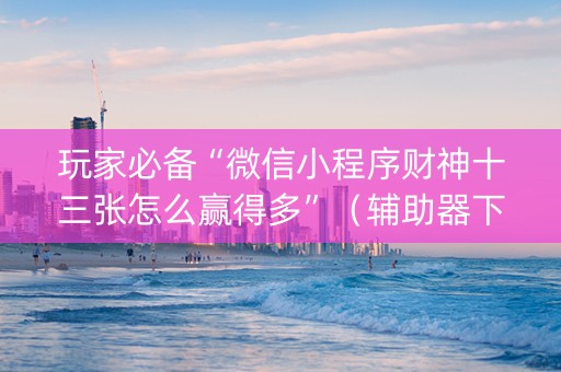 玩家必备“微信小程序财神十三张怎么赢得多”（辅助器下载)
