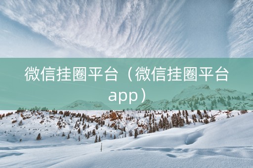 微信挂圈平台（微信挂圈平台app）