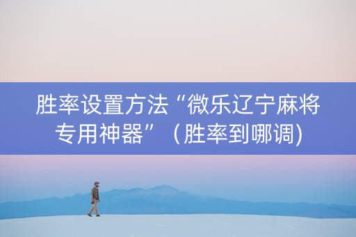 胜率设置方法“微乐辽宁麻将专用神器”（胜率到哪调)