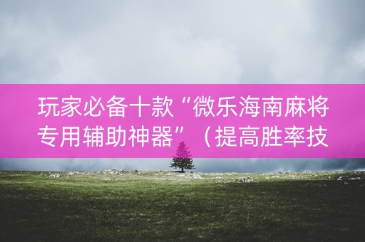 玩家必备十款“微乐海南麻将专用辅助神器”（提高胜率技巧)