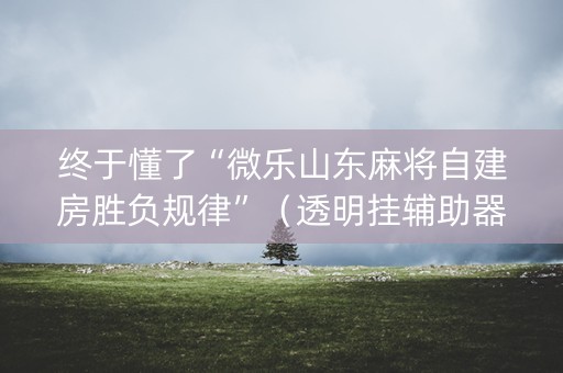 终于懂了“微乐山东麻将自建房胜负规律”（透明挂辅助器)