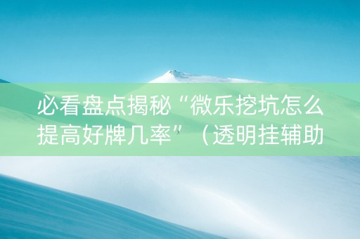 必看盘点揭秘“微乐挖坑怎么提高好牌几率”（透明挂辅助器)