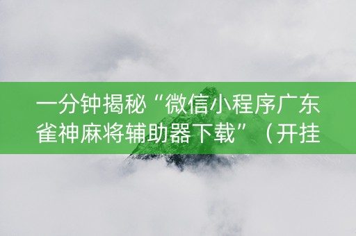 一分钟揭秘“微信小程序广东雀神麻将辅助器下载”（开挂辅助脚本)