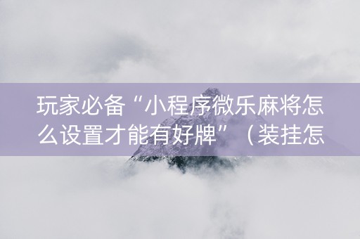 玩家必备“小程序微乐麻将怎么设置才能有好牌”（装挂怎么安装)