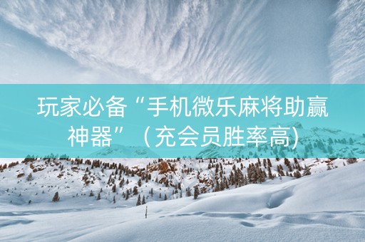 玩家必备“手机微乐麻将助赢神器”（充会员胜率高)