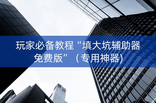 玩家必备教程“填大坑辅助器免费版”（专用神器)