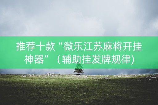 推荐十款“微乐江苏麻将开挂神器”（辅助挂发牌规律)