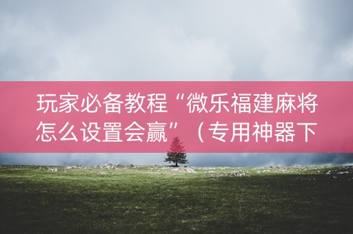玩家必备教程“微乐福建麻将怎么设置会赢”（专用神器下载)
