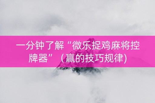 一分钟了解“微乐捉鸡麻将控牌器”（赢的技巧规律)