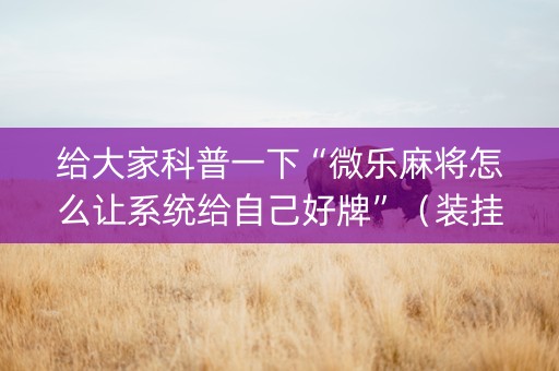 给大家科普一下“微乐麻将怎么让系统给自己好牌”（装挂怎么安装)