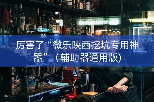 厉害了“微乐陕西挖坑专用神器”（辅助器通用版)