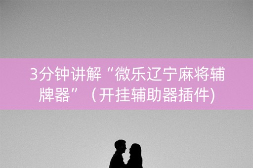 3分钟讲解“微乐辽宁麻将辅牌器”（开挂辅助器插件)