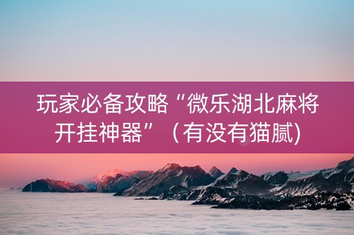 玩家必备攻略“微乐湖北麻将开挂神器”（有没有猫腻)