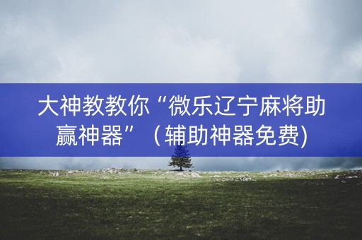 大神教教你“微乐辽宁麻将助赢神器”（辅助神器免费)