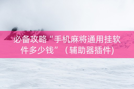 必备攻略“手机麻将通用挂软件多少钱”（辅助器插件)