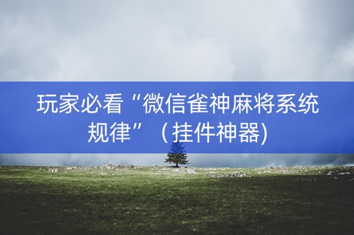 玩家必看“微信雀神麻将系统规律”（挂件神器)