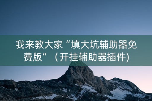 我来教大家“填大坑辅助器免费版”（开挂辅助器插件)